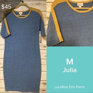 Medium LuLaRoe Julia Dress
